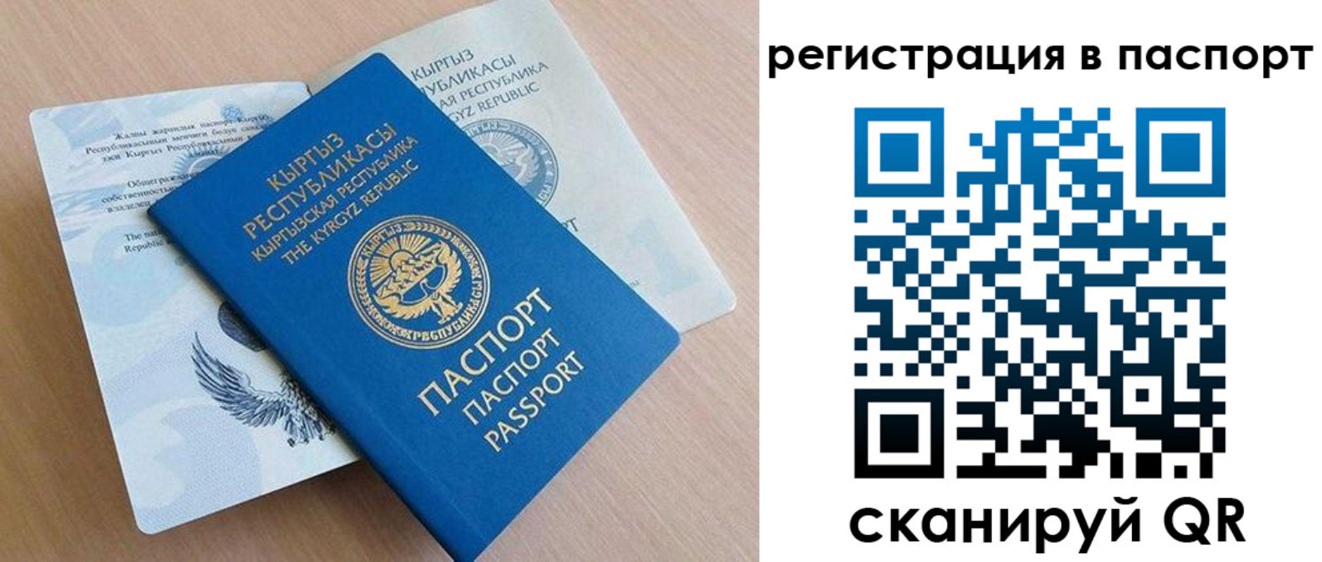 прописка законно в Новозыбкове